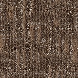 Mohawk Carpet
Random Nature II